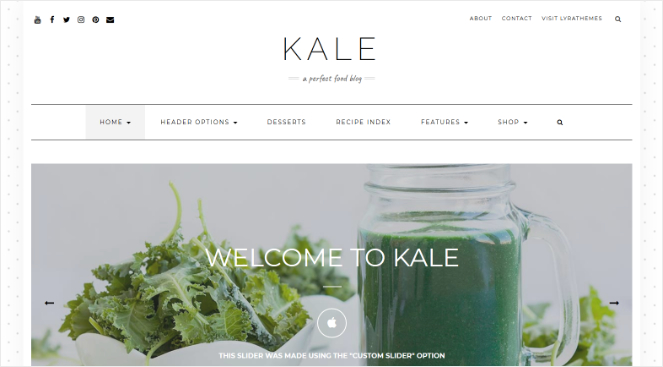 kale-best-wordpress-themes-food-blog