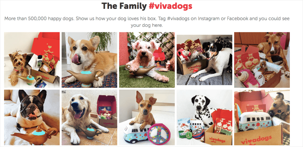 Vivadogs is an example of social proof. They show photos of their customer's dogs with their product