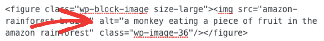 An example of what alt text looks like in HTML 