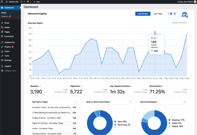 MonsterInsights dashboard